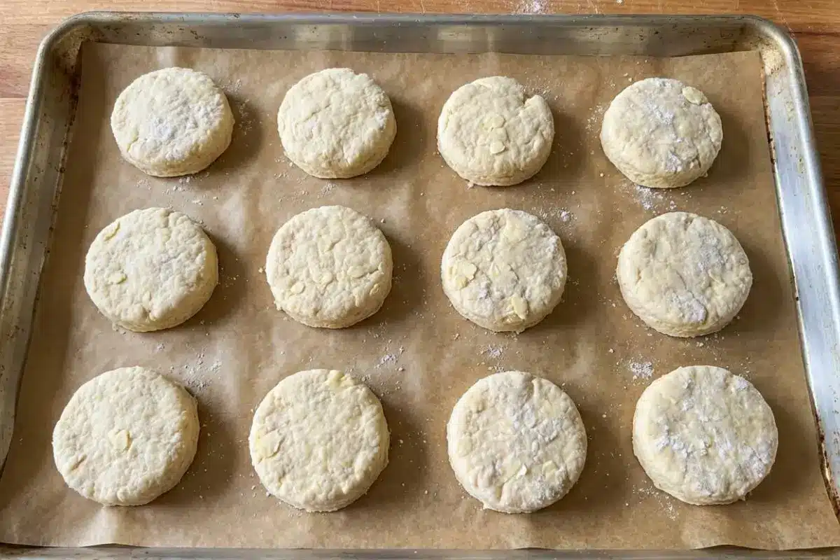 Rena's No-Fail Tips For Your Golden Italian Custard Bomboloni A top-down photograph of twelve raw, round homemade scone dough circles resting neatly on a parchment-lined metal baking sheet, dusted with flour, showcasing small bits of butter.
