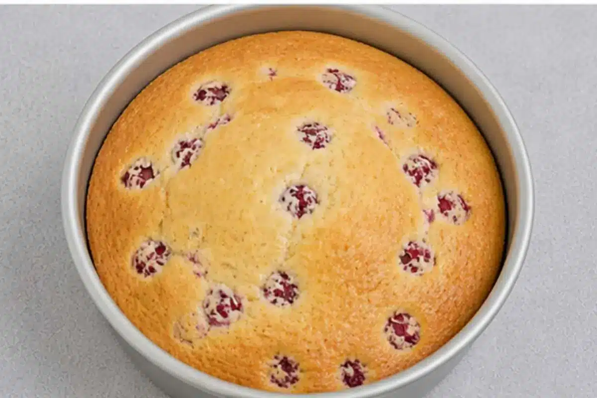white-chocolate-raspberry-cake-baked A freshly baked white chocolate raspberry cake in a round pan, golden on top with raspberries peeking through the surface.